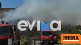 Εύβοια, Φωτιά, Δήμο Διρφύων Μεσσαπίων,evvoia, fotia, dimo dirfyon messapion