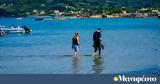 Κοινωνικός, 535 000,koinonikos, 535 000