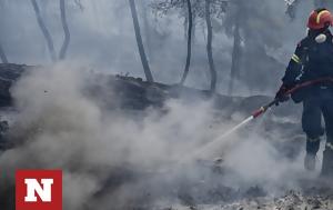Καλαμάτα, Υπό, Πλάτη, Μεσσηνίας, kalamata, ypo, plati, messinias