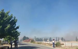 Κύπρος, Μάχη, Πάφο, kypros, machi, pafo