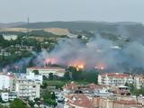 Φωτιά, Λιβαδειά - Κοντά,fotia, livadeia - konta