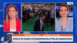 Κρίση, ΠΑΣΟΚ, Ανδρουλάκη,krisi, pasok, androulaki