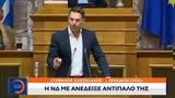 Κασσελάκης, Δημοκρατία,kasselakis, dimokratia