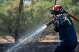 Θεσσαλονίκη, Πυρκαγιές, Απολλωνία Βόλβης, Θέρμη,thessaloniki, pyrkagies, apollonia volvis, thermi