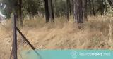 Ξέχασαν, Καμάρες, Μυτιλήνη,xechasan, kamares, mytilini