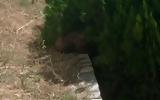 Καστοριά, Απεγκλωβίστηκε,kastoria, apegklovistike