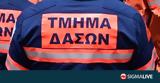 Κενές, Τμήμα Δασών,kenes, tmima dason