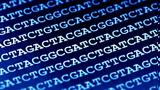 Google,DNA –