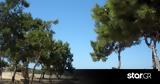 Συναγερμός, Γλυφάδα, Γυναίκα,synagermos, glyfada, gynaika