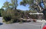 Χανιά, Τεράστιο, Λεωφόρο Καραμανλή,chania, terastio, leoforo karamanli