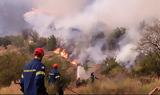 Πυρκαγιά, Κρανίδι Αργολίδας - Εστάλη, 112,pyrkagia, kranidi argolidas - estali, 112