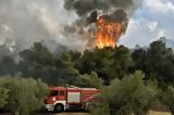 Συναγερμός, 112, Γαβριανή, Μαγνησία - Κινηθείτε, Αλμυρό,synagermos, 112, gavriani, magnisia - kinitheite, almyro