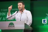 Ανδρουλάκης, ΠΑΣΟΚ,androulakis, pasok