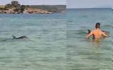 Καβάλα, Δελφινάκι, Πέραμο VIDEO,kavala, delfinaki, peramo VIDEO