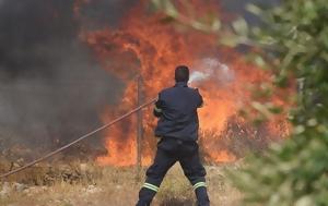 Πυρκαγιά, Αργολίδα - Μήνυμα, 112, pyrkagia, argolida - minyma, 112