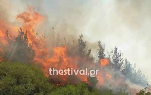 Θεσσαλονίκη, Συνελήφθη 67χρονος, Δήμο Βόλβης, thessaloniki, synelifthi 67chronos, dimo volvis