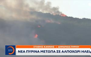 Δήμαρχος Πύργου, Αλποχώρι Ηλείας, dimarchos pyrgou, alpochori ileias
