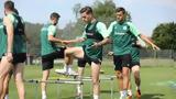 Παναθηναϊκός, Αυστρία,panathinaikos, afstria
