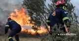 Φωτιά, Εύβοια – Καίγεται, Κοντοδεσπότι,fotia, evvoia – kaigetai, kontodespoti