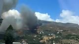 Βελτιωμένη, Άνδρο,veltiomeni, andro