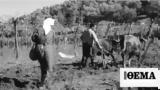 Ηλεία 1960, Γιάννης,ileia 1960, giannis