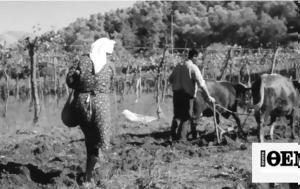 Ηλεία 1960, Γιάννης, ileia 1960, giannis