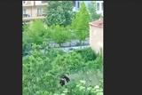 Τρεις, Φλώρινας, … VIDEOS,treis, florinas, … VIDEOS