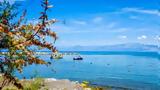 Thessaly, Evros Pass, Άνοιξε,Thessaly, Evros Pass, anoixe
