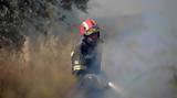 Πυρκαγιά, Μαρκόπουλο - Επί, Πυροσβεστική,pyrkagia, markopoulo - epi, pyrosvestiki