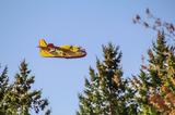 Φωτιά Ναυπακτία, Παραλίγο, Canadair,fotia nafpaktia, paraligo, Canadair
