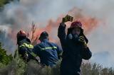 Φωτιά, Ορθοβούνι Καλαμπάκας – Μήνυμα, 112,fotia, orthovouni kalabakas – minyma, 112