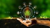 BECBA Virtual Incubator, Δωρεάν Εικονική,BECBA Virtual Incubator, dorean eikoniki