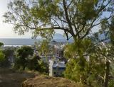 Πάτρα- Δασύλλιο, Πανικός,patra- dasyllio, panikos