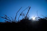 Δήλωση, Βήμα,dilosi, vima