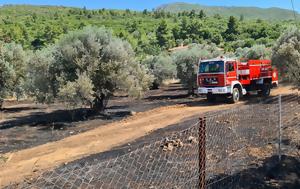 Ακαθάριστα, Παράταση, akatharista, paratasi