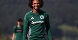 Παναθηναϊκός, Πού, Αυστρία,panathinaikos, pou, afstria