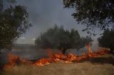 Λέσβος, Φωτιά, Παρασκευής, Καλλονής,lesvos, fotia, paraskevis, kallonis