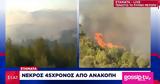 Φωτιά, Σταμάτα, Νεκρός, 45χρονος,fotia, stamata, nekros, 45chronos