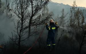 Φωτιά, Σταμάτα, Τραυματίστηκε, fotia, stamata, travmatistike