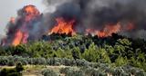 Ηράκλειο, Φωτιά, Δήμου Βιάννου - Εστάλη, 112,irakleio, fotia, dimou viannou - estali, 112