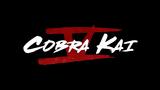 Netflix, Κυκλοφόρησε, “Cobra Kai”,Netflix, kykloforise, “Cobra Kai”