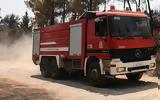 Φωτιά, Ασωπία Βοιωτίας – Κινητοποιήθηκαν 5,fotia, asopia voiotias – kinitopoiithikan 5