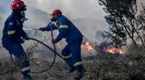 Συναγερμός, Πυροσβεστική, Βούρινο Κοζάνης,synagermos, pyrosvestiki, vourino kozanis