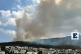 Φωτιά, Γλυκά Νερά, Τέσσερις, ΑΤ Παιανίας,fotia, glyka nera, tesseris, at paianias