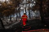 Φωτιά, Μελίσσο Κορινθίας – Σηκώθηκαν,fotia, melisso korinthias – sikothikan
