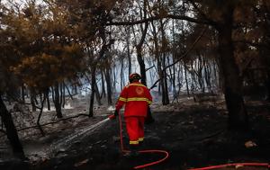 Φωτιά, Μελίσσι Κορινθίας – Σηκώθηκαν, fotia, melissi korinthias – sikothikan