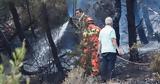 Πυρκαγιά, Γλυκά Νερά, Ποινική, 35χρονος,pyrkagia, glyka nera, poiniki, 35chronos