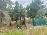 Όργιο, Βίλες,orgio, viles