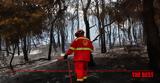 Πυρκαγιά, Γλυκά Νερά, Κατηγορούμενος, 35χρονος,pyrkagia, glyka nera, katigoroumenos, 35chronos