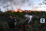 Φωτιές, Αττική, Κάηκαν 5 551, Σαββατοκύριακο –,foties, attiki, kaikan 5 551, savvatokyriako –